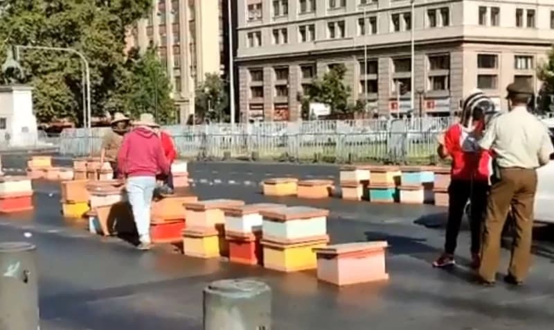 Protest pčelara