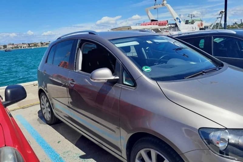 Roditelji odveli psa, a bebu ostavili samu u automobilu na 30 stepeni Celzijusa
