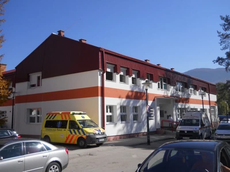 Vranić i Baltić nisu došli na OV Hadžići zbog problema sa Domom zdravlja; Bašić: Smatraju nas građanima trećeg reda