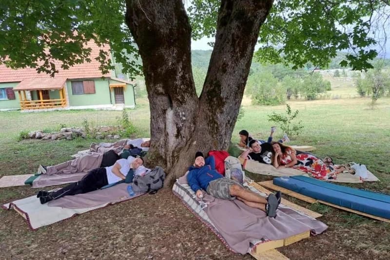 Takmičenje u ležanju