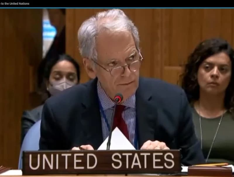 Predstavbik SAD-a u Vijeću sigurnosti UN-a