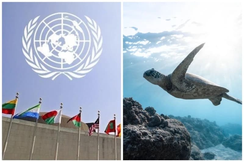 UN i zaštita okeana