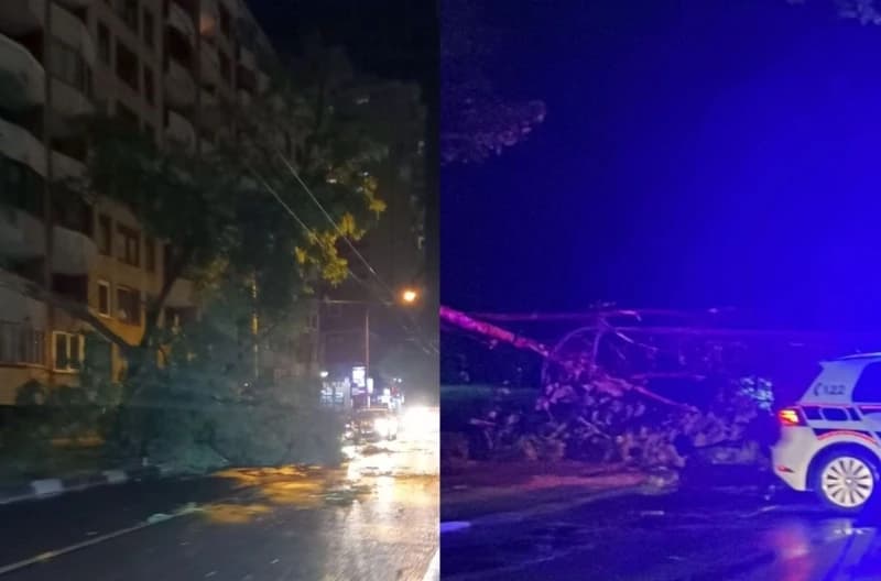 Bilans nevremena u KS: Nekoliko oborenih stabala i stubova ulične rasvjete