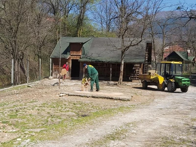 Pionirska dolina i zoo vrt od danas počinje sa ljetnim režimom rada