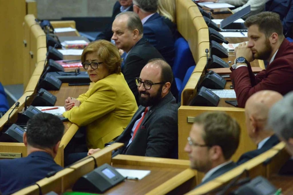 Zastupnici pitaju za radno vrijeme Aerodroma u Sarajevu i šta je sa izmjenama Zakona o PIO-u
