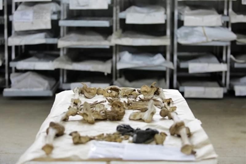 Nekompletni posmrtni ostavci pronađeni u oktobru kod Višegrada