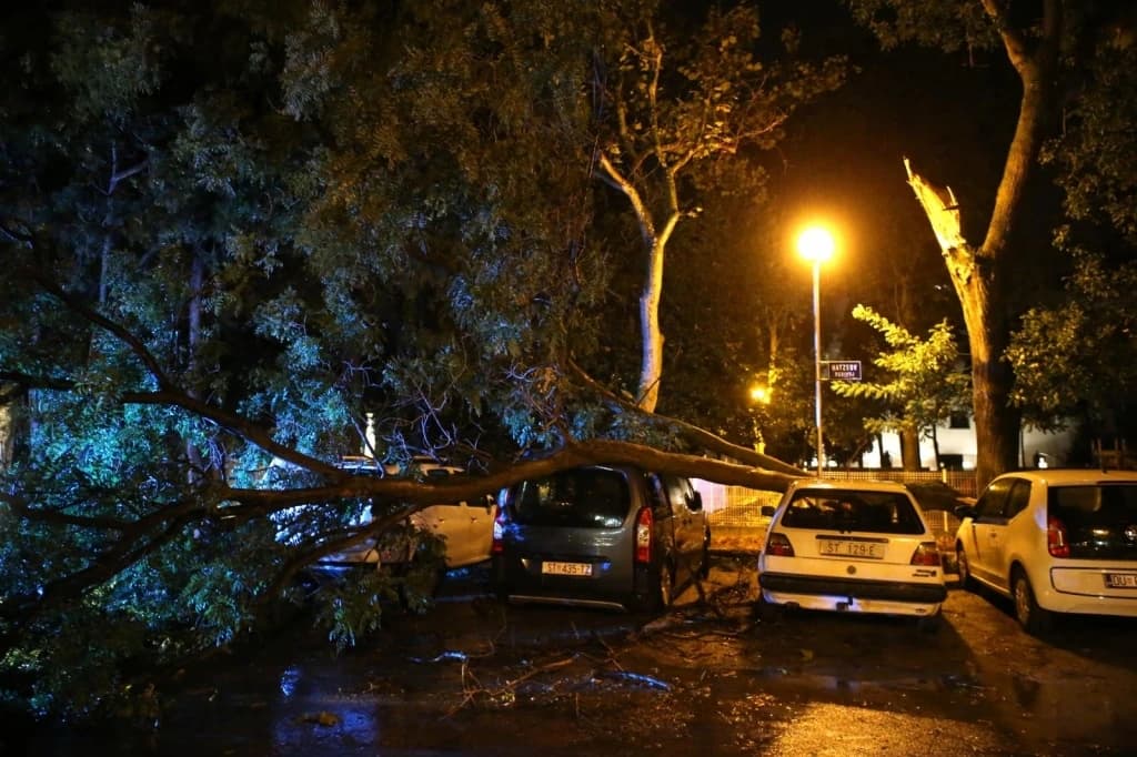 Stabla se rušila na automobile u Splitu
