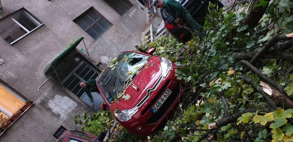 Krošnja se obrušila i oštetila automobile u centru Sarajeva