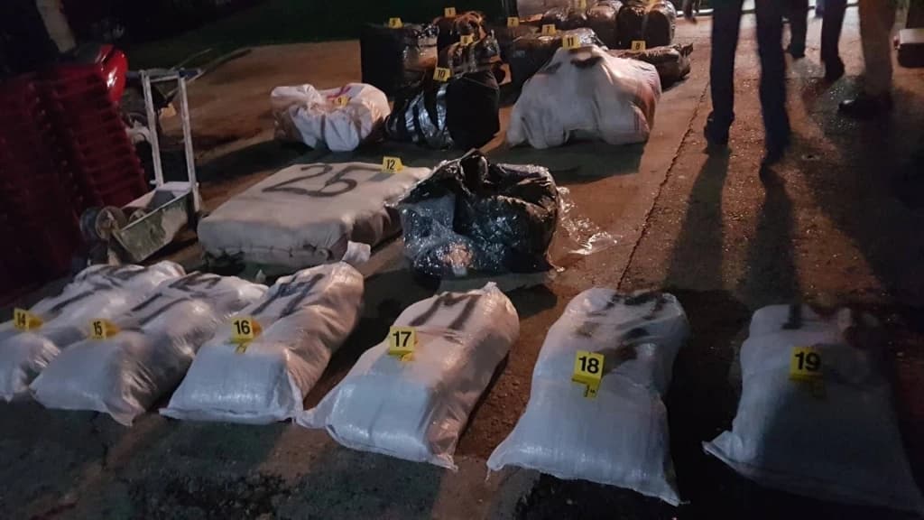 Detalji akcije SIPA-e u Hercegovini: Nađeno više stotina kilograma skanka