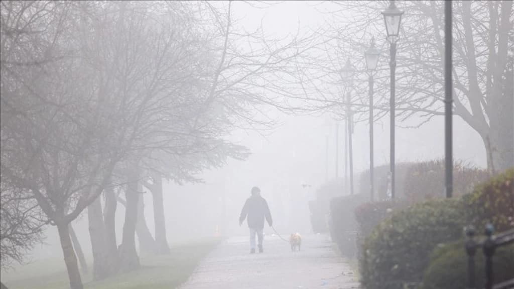 Velikim gradovima prijeti "smrtonosni smog"