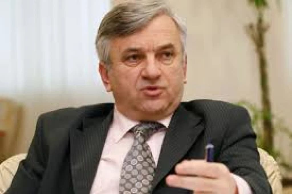 Nedeljko Čubrilović