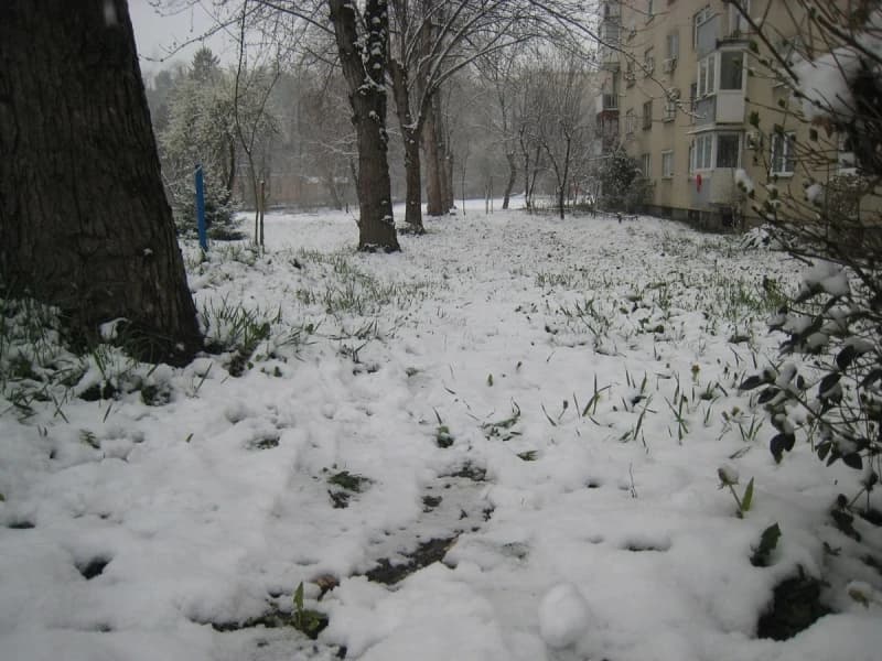 Tuzla: Snijeg pokrio zelene površine