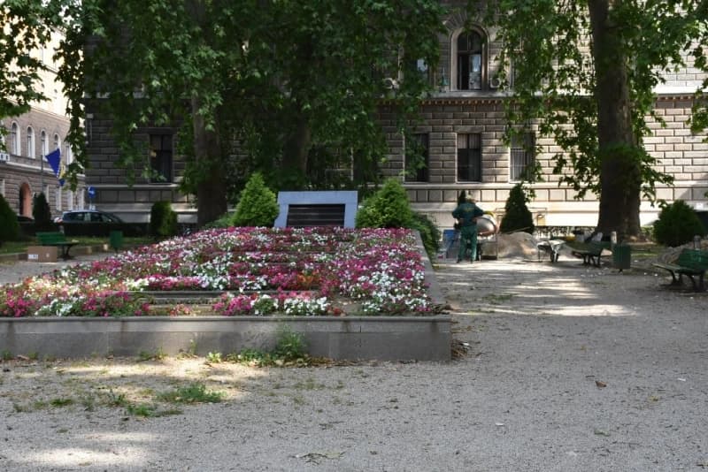 Korijeni platana ruše zid u parku Mirze Delibašića i Davorina Popovića